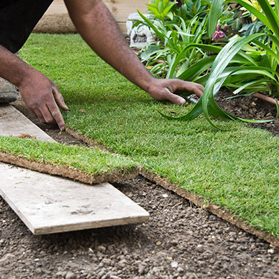 La création de vos espaces verts